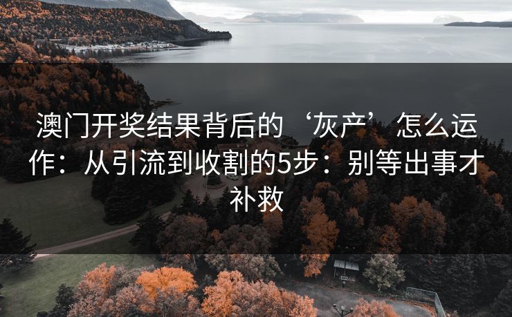 澳门开奖结果背后的‘灰产’怎么运作：从引流到收割的5步：别等出事才补救